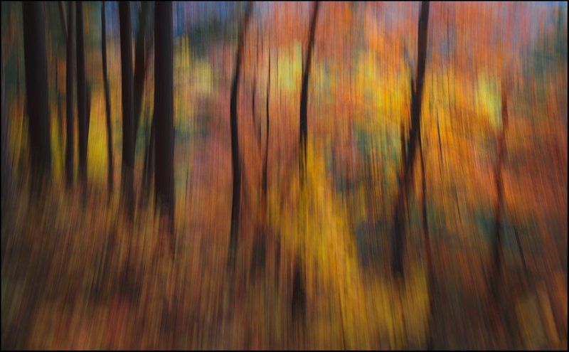 Краски осениphoto preview