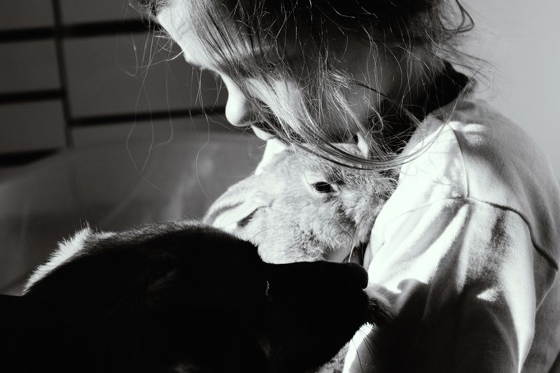 Morning traffic. 20.11.15photo preview