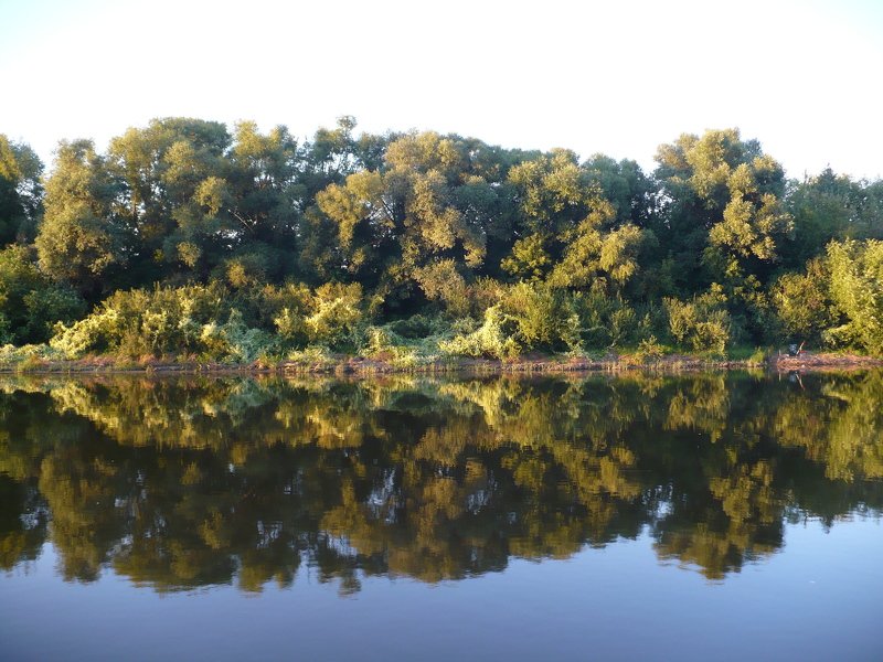 Елена, Russia