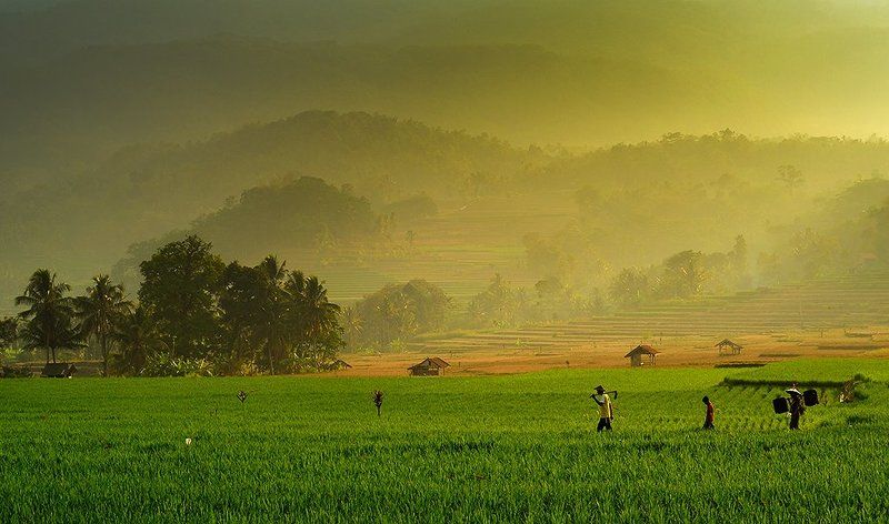.human, Color, Landscape, Natural light, Travel Go to the fieldphoto preview
