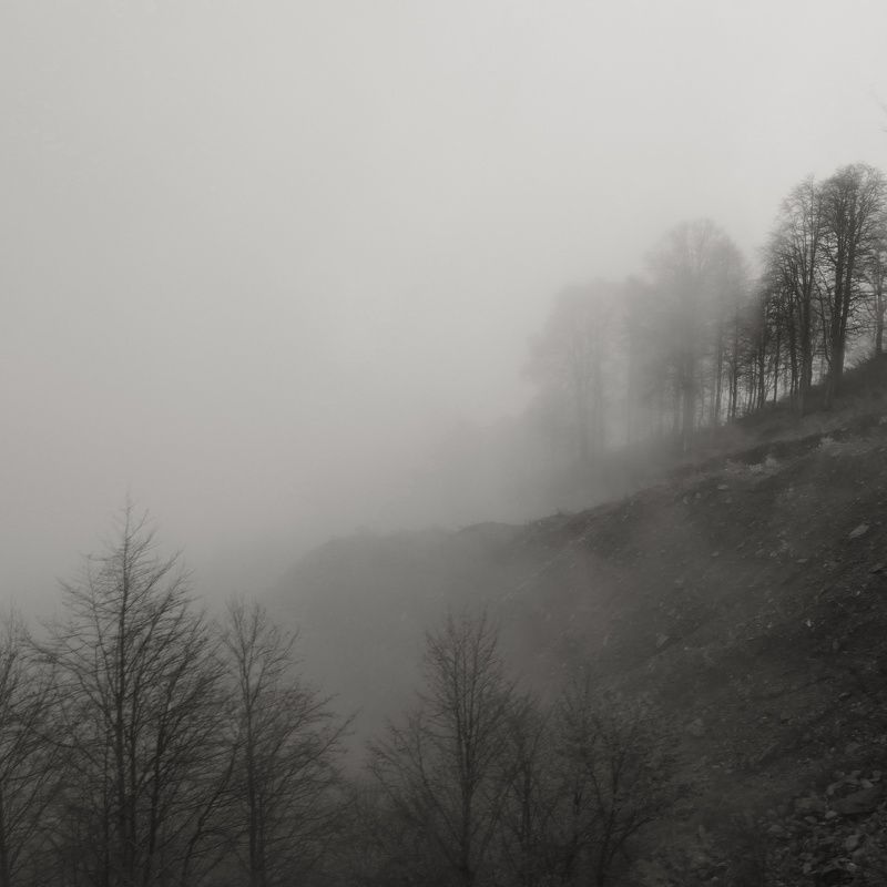 Тишинаphoto preview