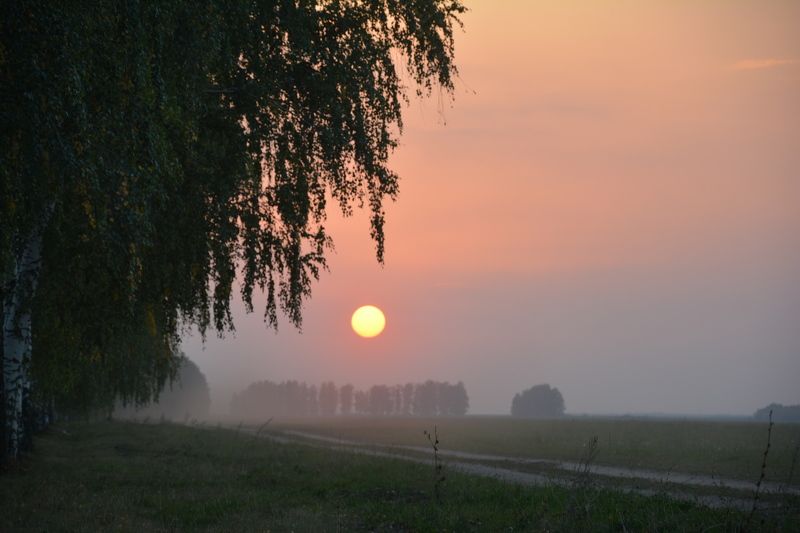 Юлия, Russia