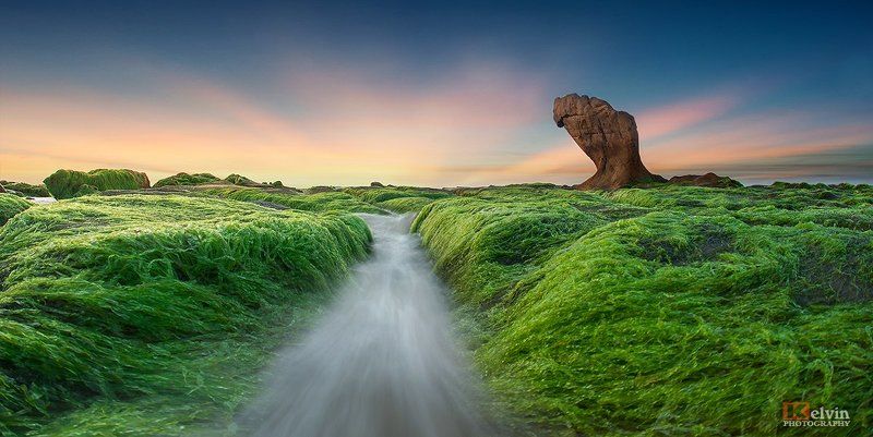 Mùa Rêuphoto preview