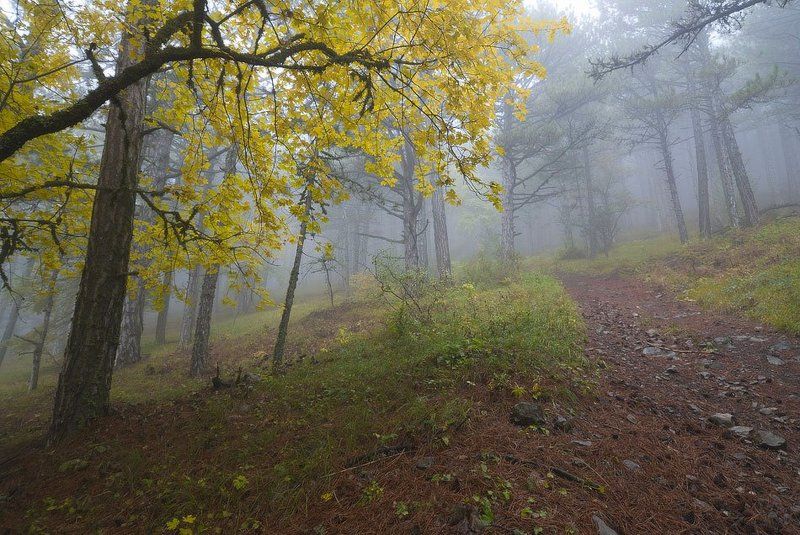 Крут подъём...photo preview