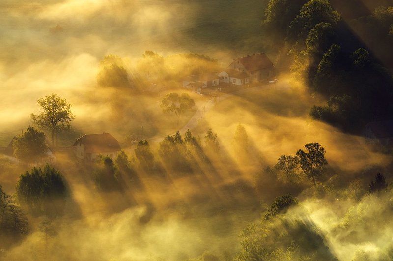 Painted Fog...photo preview