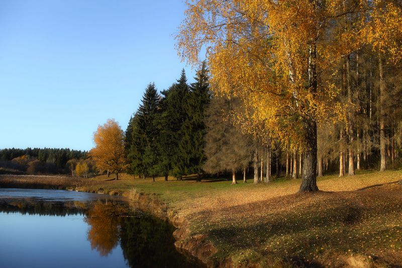 вода, осень, пруд, солнце Good Dayphoto preview