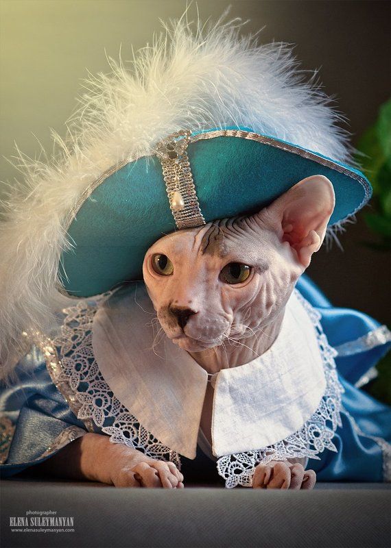 Портос - настоящий мушкетёр))photo preview