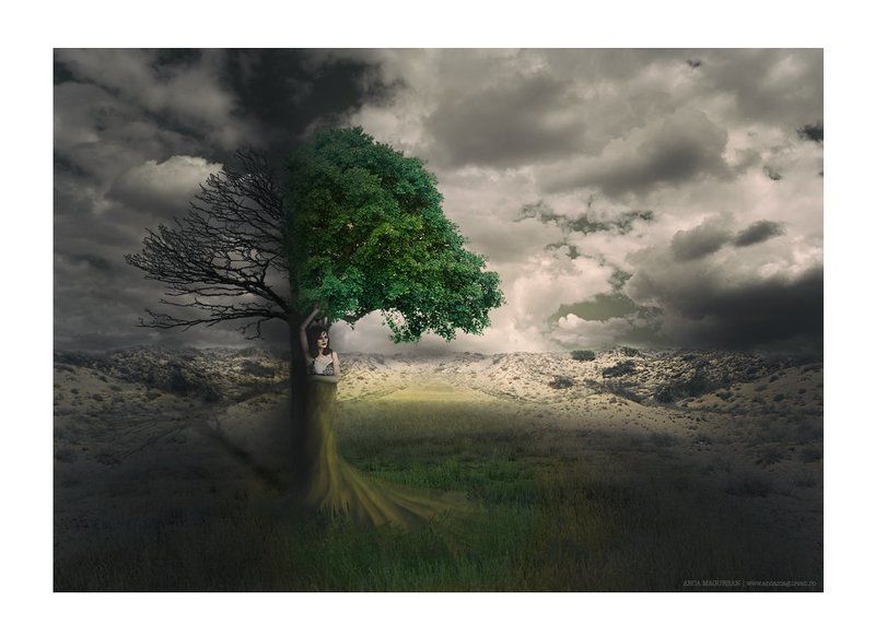 The power of womanphoto preview