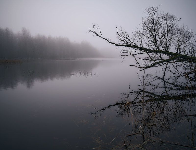 апрель. photo preview