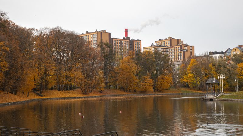 озеро, осень, пейзаж, Калининград, архитектура, город, фотография, Россия, природа, Свирин Вадим, 2023, lake, autumn, landscape, Kaliningrad, architecture, city, photography, Russia, nature, Vadim Svirin Верхнее озеро.photo preview