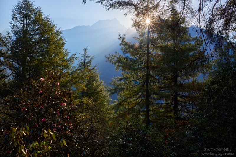 пейзажемагьё, пейзаж-как-виденье Утро в Волшебных Гималаяхphoto preview