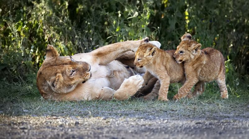 Малышковые будни - 2photo preview