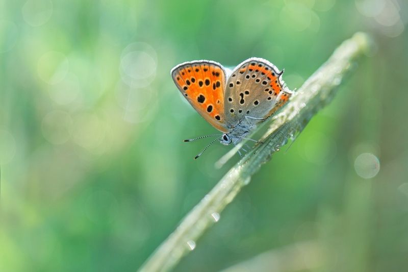 Прохлада апрельского утра...photo preview