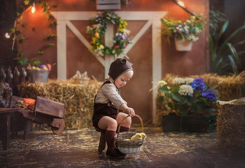 малыш, ребенок, мальчик, цыплята photo preview