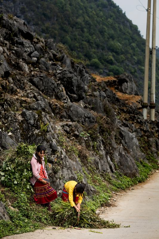 Scenes from lifephoto preview