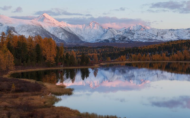 Киделю фото превью