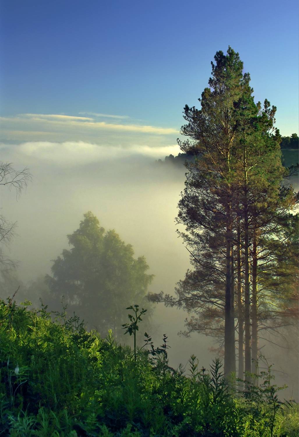 .... Автор: Алексей Хахлов , Алексей Хахлов