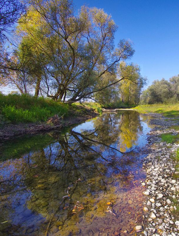 вода, река, весна, рыбак, деревья, кроны У водыphoto preview