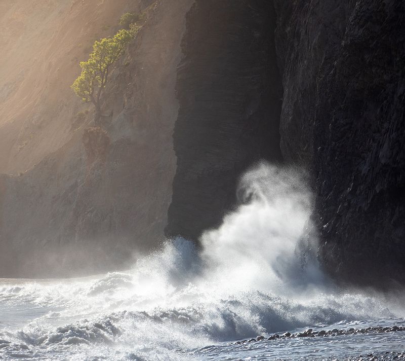 Одинокое дерево и стихия...photo preview