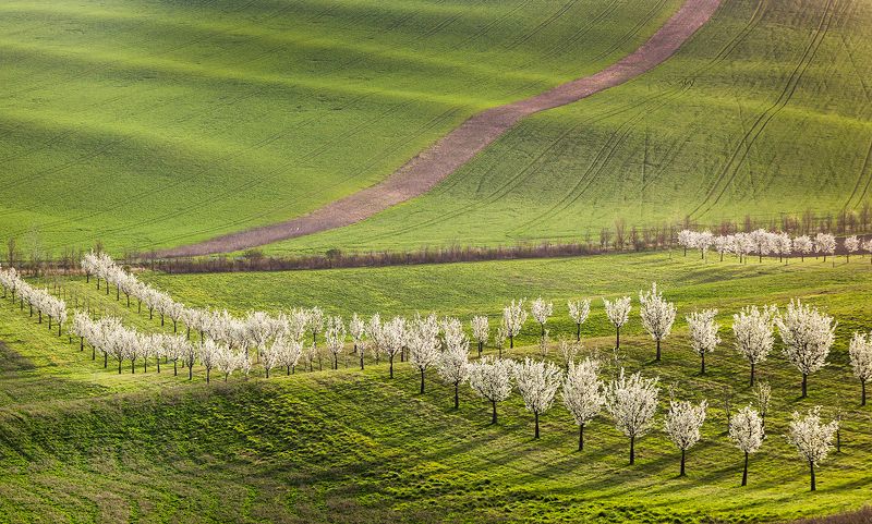 Моравская Тоскана фото превью