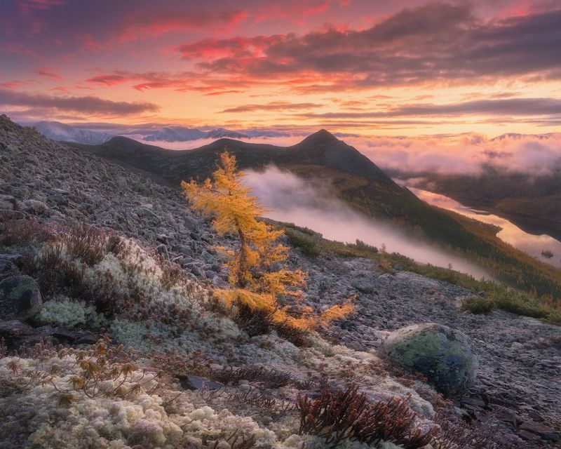 Туманное утро над озером Танцующих Хариусовphoto preview