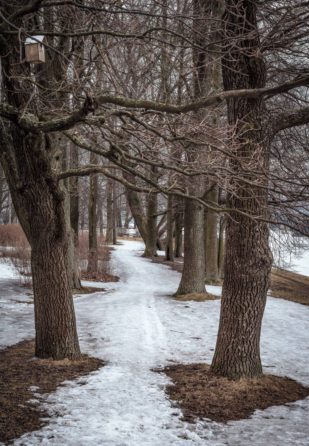 , Васильев Андрей