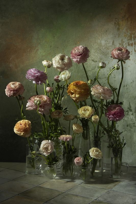 Анемоныphoto preview