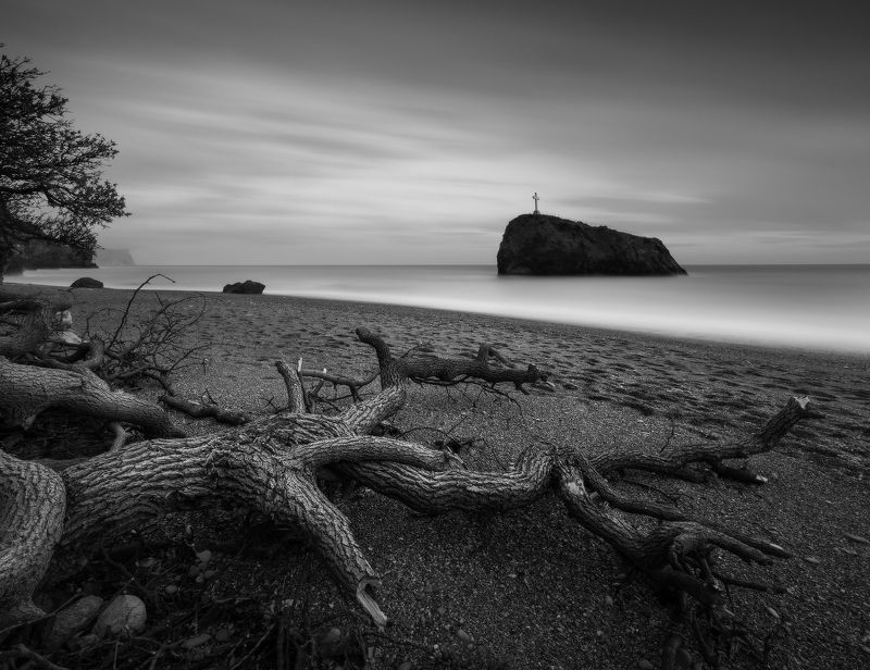 Спрут на Яшмовом пляже.photo preview