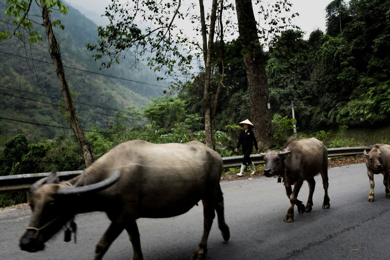 On the roadphoto preview