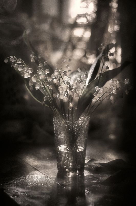 натюрморт, цветочный, чёрно-белое, настроение, ландыши, весна Ландышей хрустальный звонphoto preview