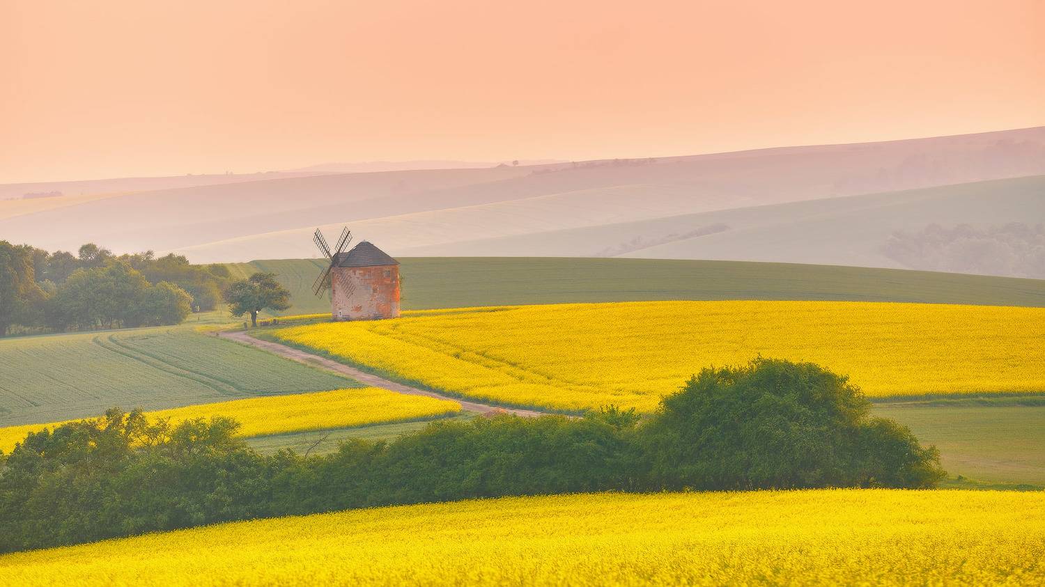 весна, вечер, европа, закат, май, мельница, моравия, поля, рапс, чехия, Вейзе Максим