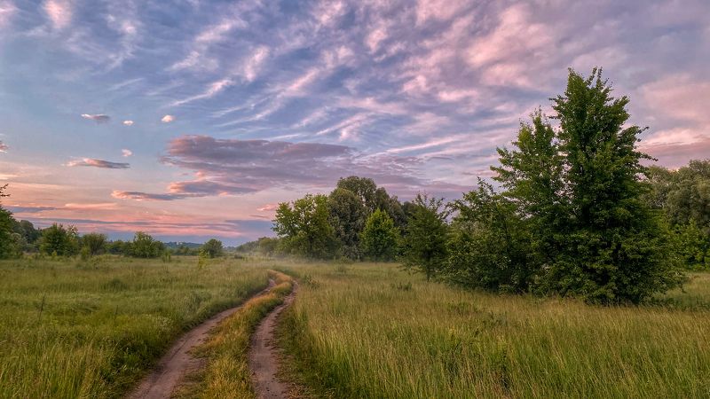 брянская область, трубчевск, лето, луг, вечер «Луговые дороги»photo preview