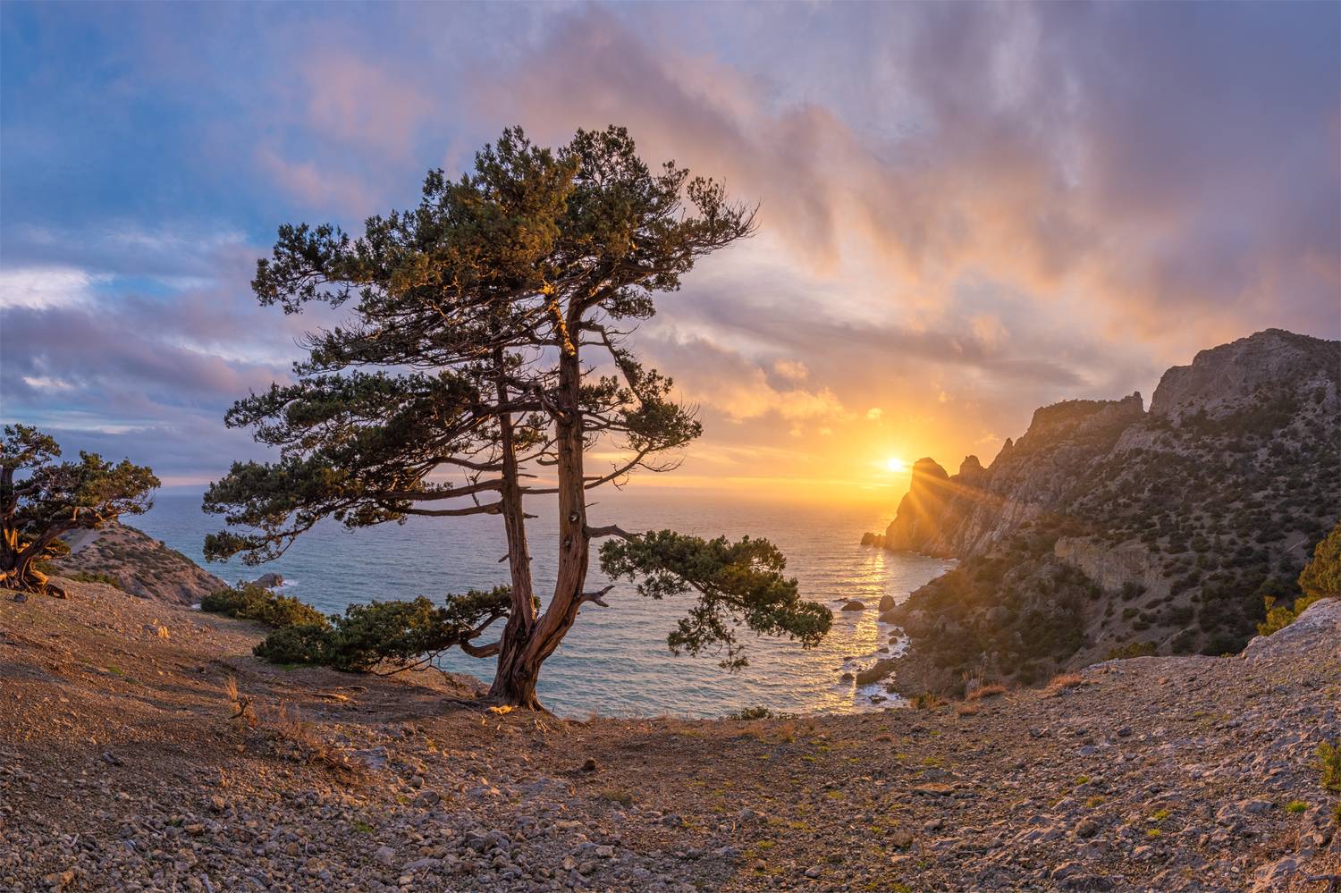 крым, новый свет, судак, черное море, пейзаж, природа, море, россия, горы, crimea, novyi svet, sudak, black sea, landscape, nature, sea, russia, mountains, Алексей Королёв