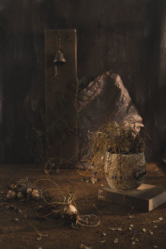 Мускарикphoto preview