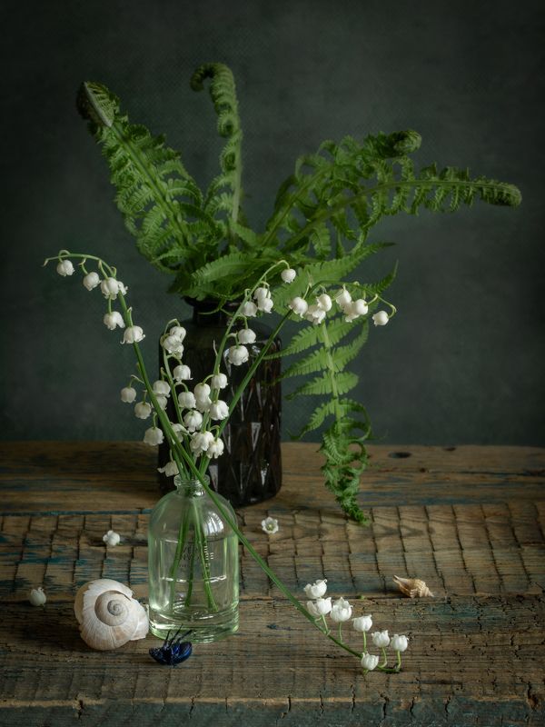 Кусочек леса фото превью