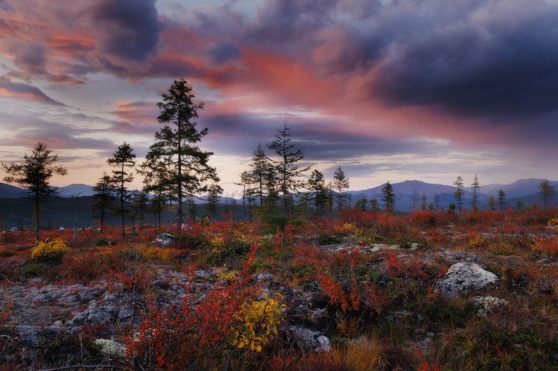 Краски Колымыphoto preview