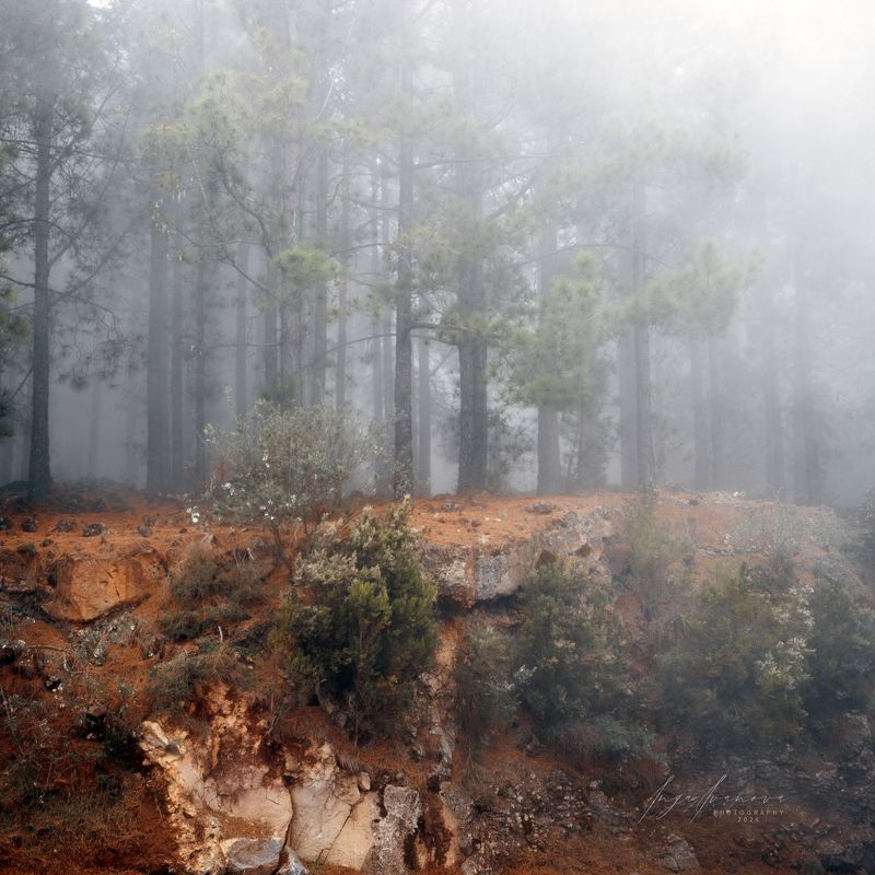 Teide, Canary Islands Tenerifephoto preview