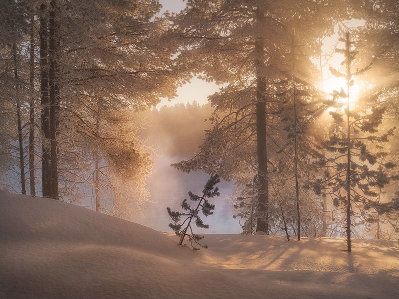 Солнечные ванныphoto preview