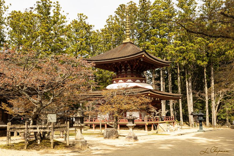 Japan, Koyaphoto preview