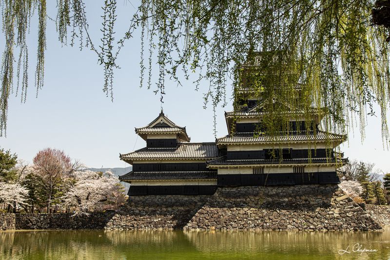Japan, Matsumoto Castlephoto preview