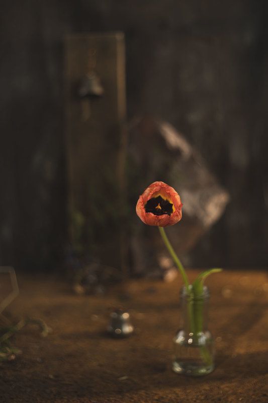 Взглядphoto preview