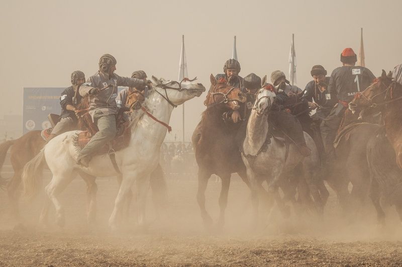 sport, buzkashi, afghanistan, sayedhabibbidell, Buzkashiphoto preview
