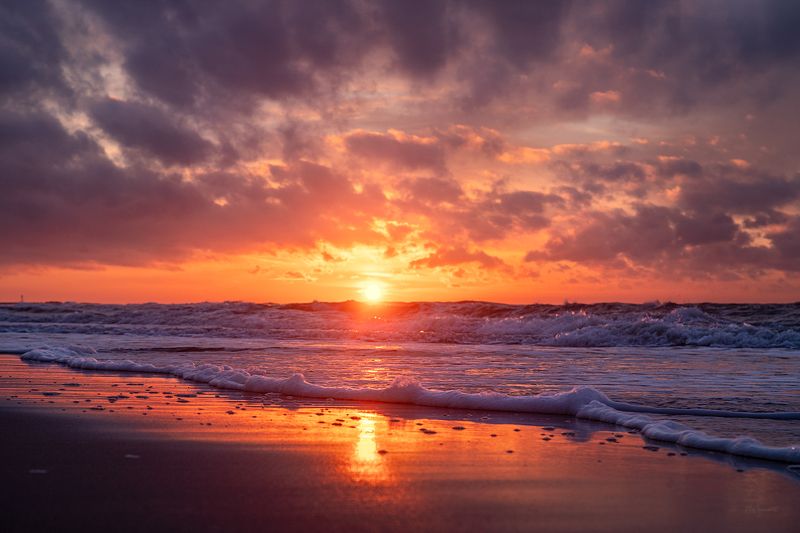 Яркое фото превью