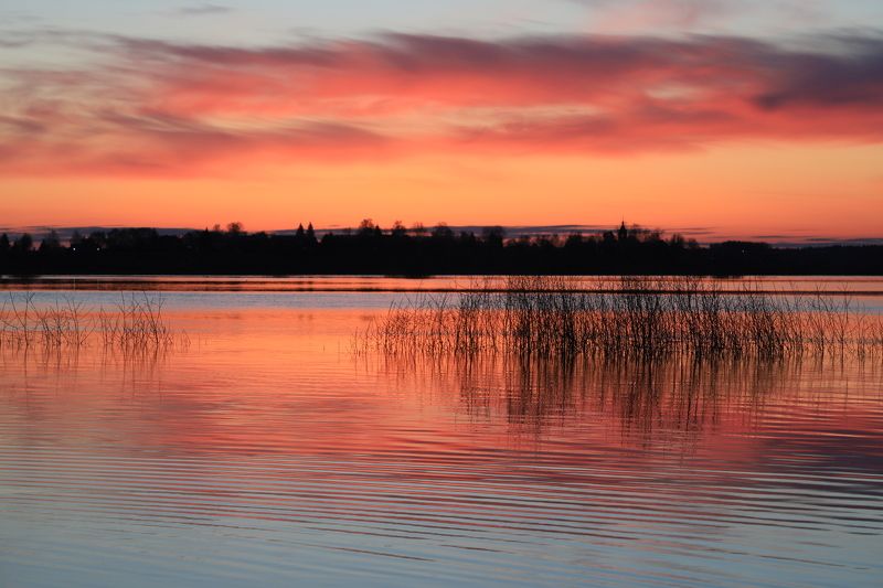 рассвет, огненный, красный, яркий, половодье, разлив, россия, пейзаж, природа, красота, вод, отражение, кусты, трава, берег, горизонт, природный, экология, утро, темно Огненный рассвет в половодье фото превью