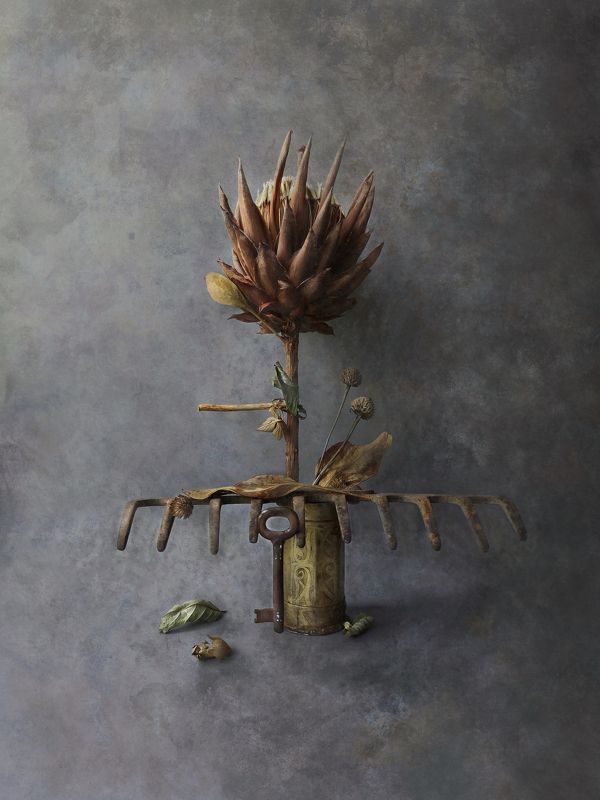 Freedomphoto preview