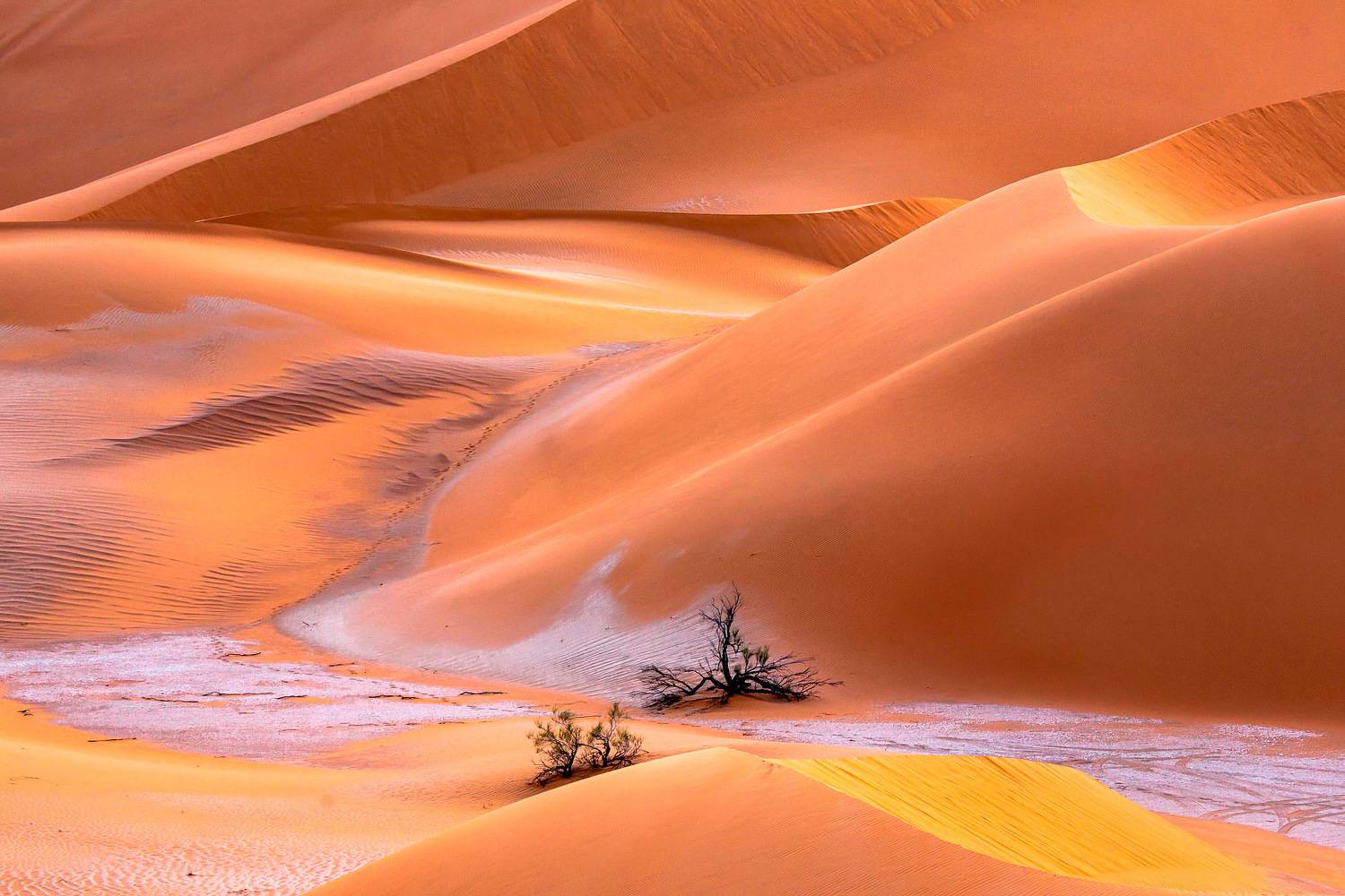 Апрельские куличики. Автор: Yuri Ovchinnikov , Yuri Ovchinnikov