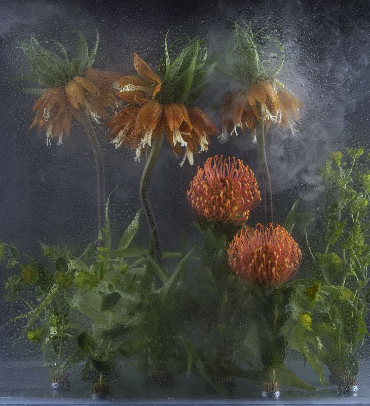 Рябчики и леукоспермумphoto preview