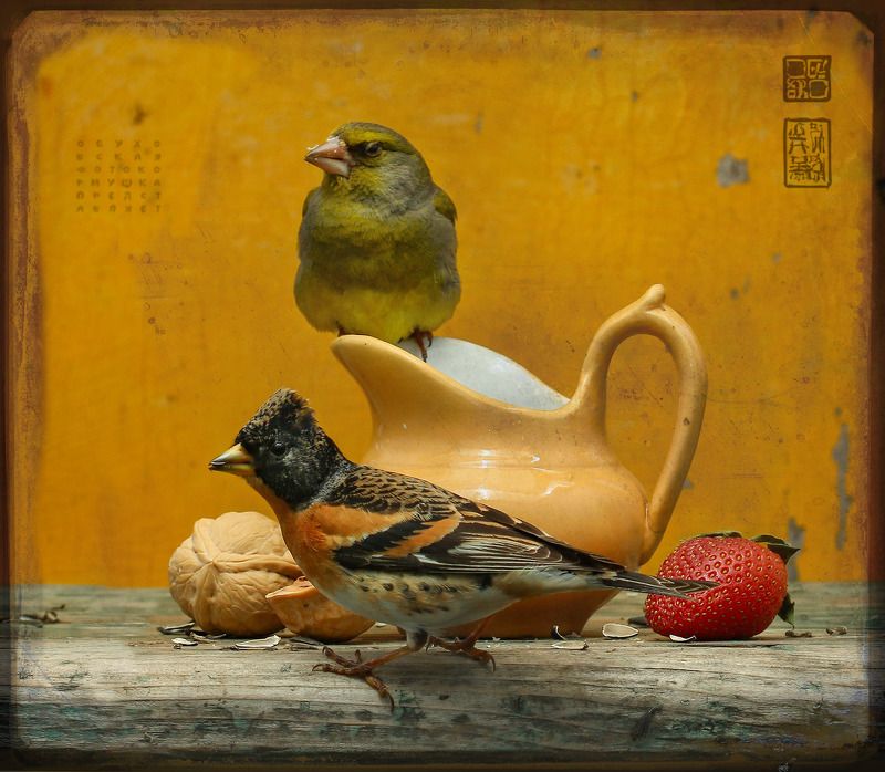 юрок Юрок и Зеленухинphoto preview