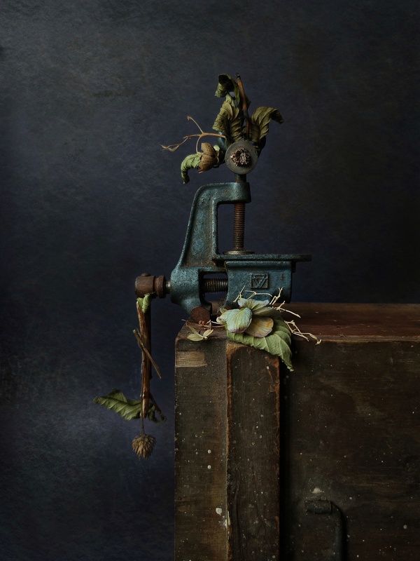 Still Lifephoto preview