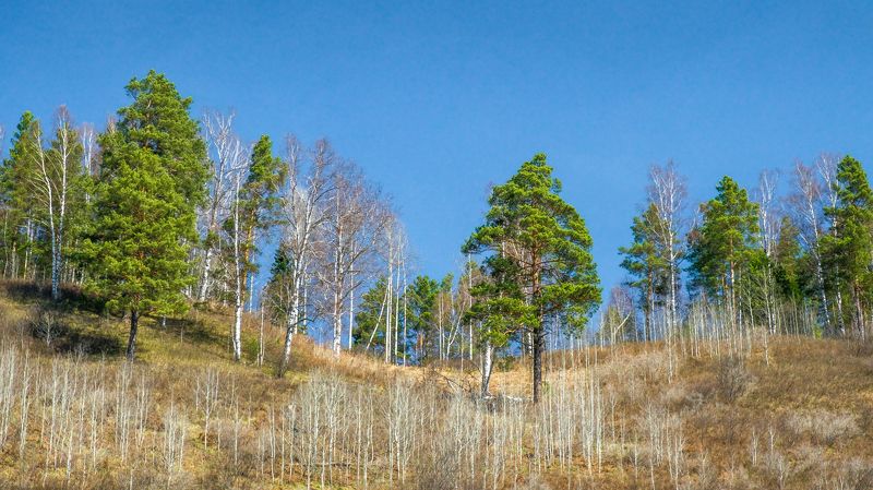 пейзаж, горы, весна  Веснаphoto preview